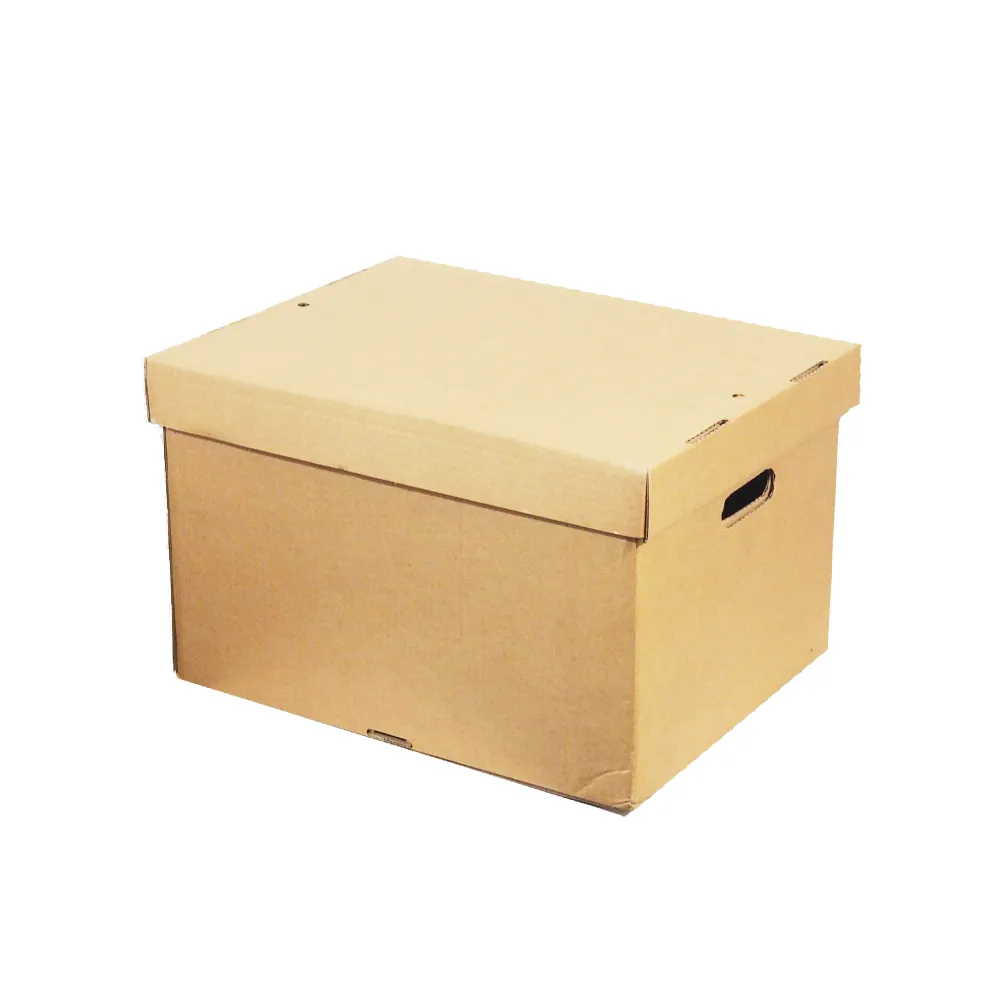 Packaging Now 395x310x225mm archiefdoos 10 stuks