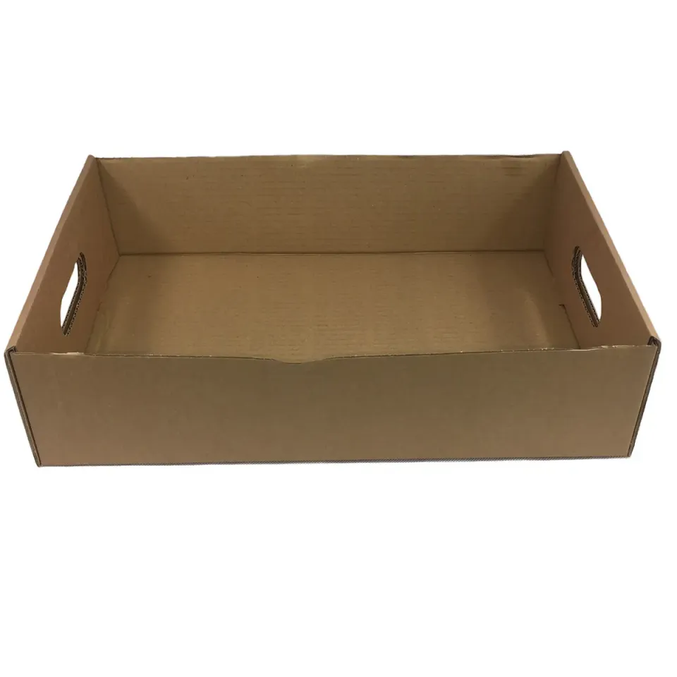 Packaging Now 390x260x100mm kartonnen tray 50 stuks