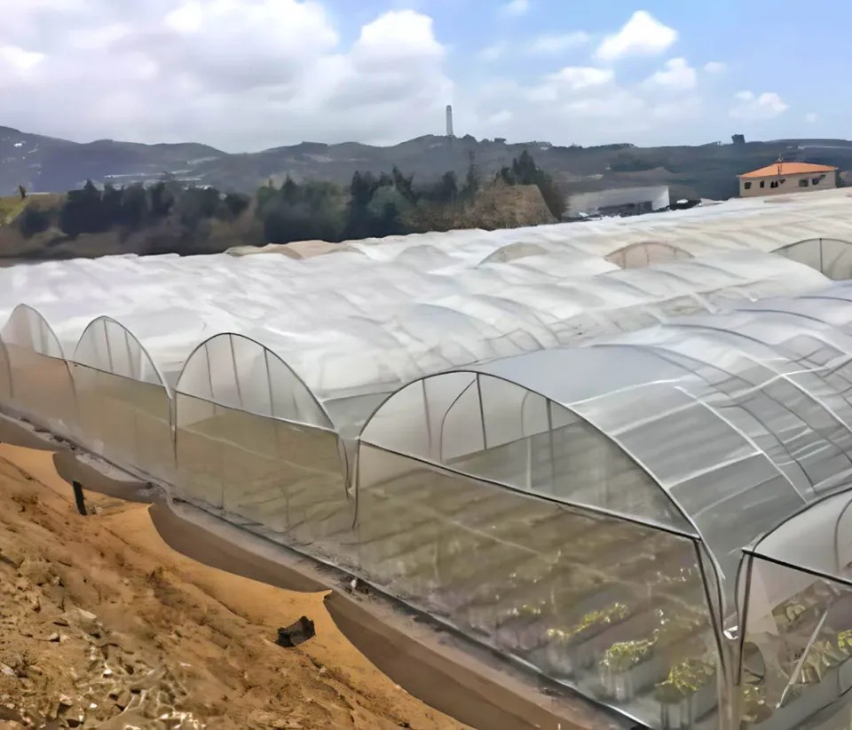 Raisa Raisatex Anti-Insects insectennet