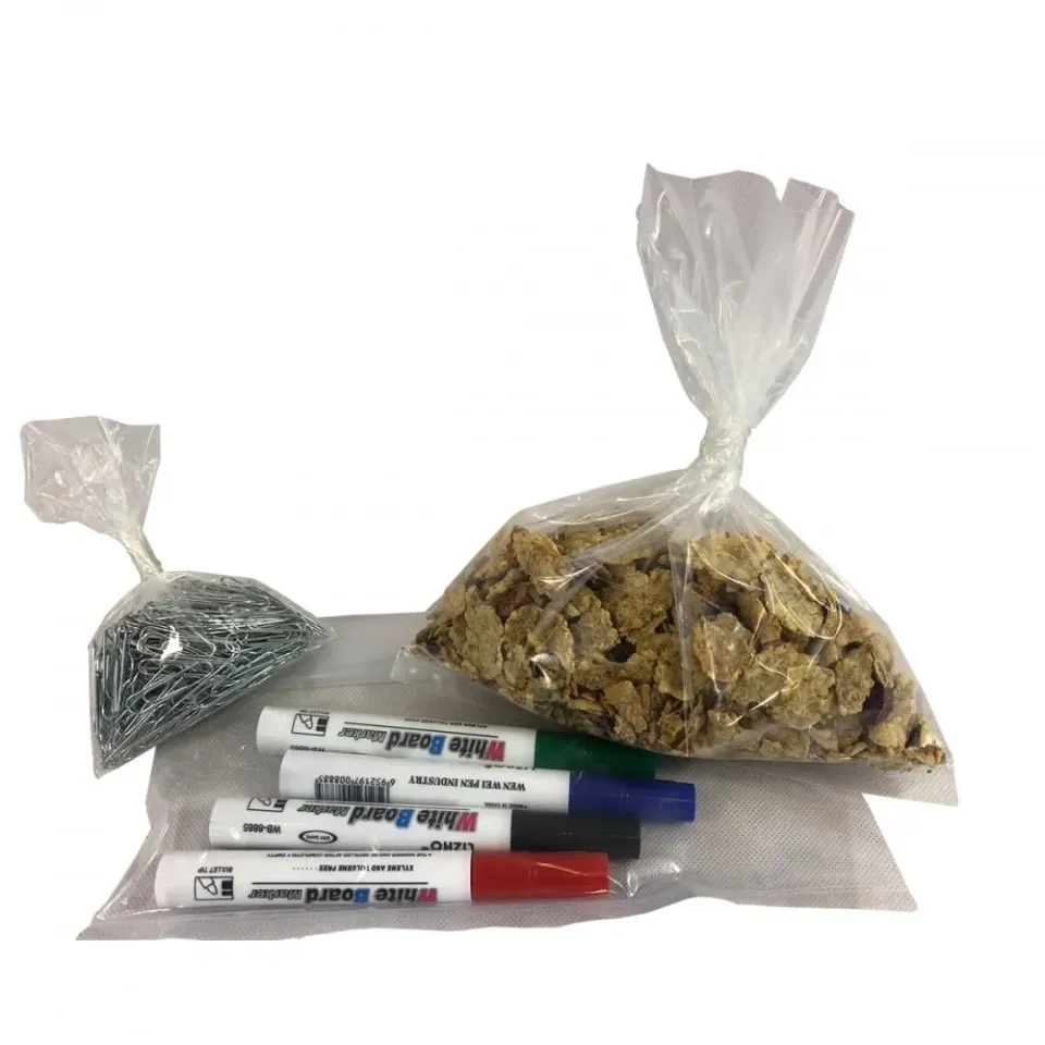 Packaging Now Polyethyleen Zakjes medium transparant