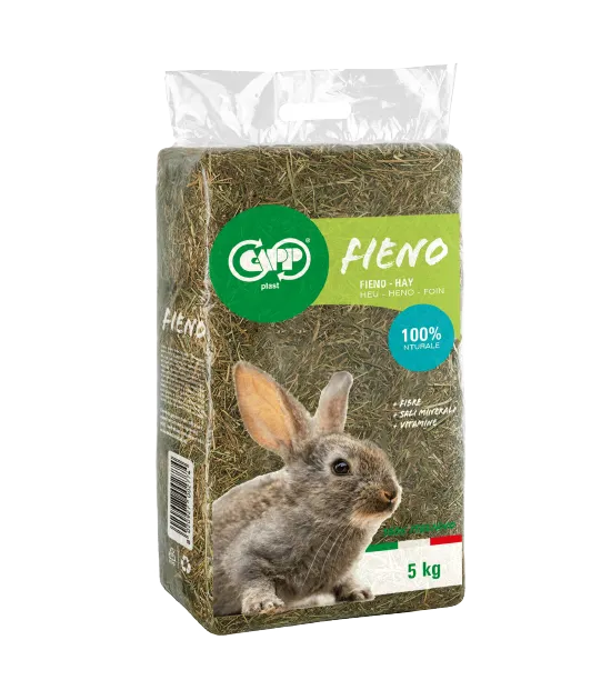 Capp-Plast hooizak PE per stuk groot