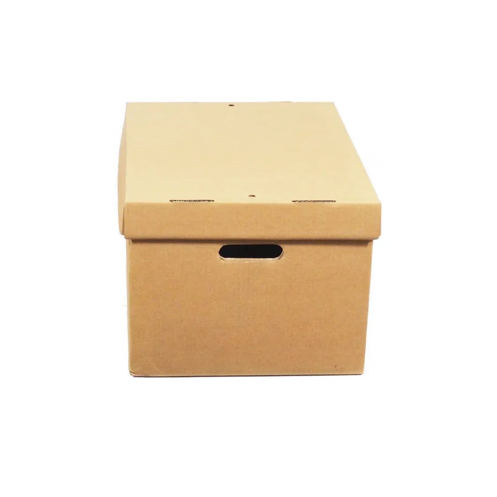 Packaging Now 395x310x225mm archiefdoos 10 stuks